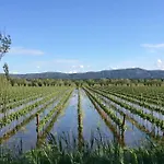 La Maison D'apo, Au Coeur Du Minervois ! * Aigues-Vives (Aude)