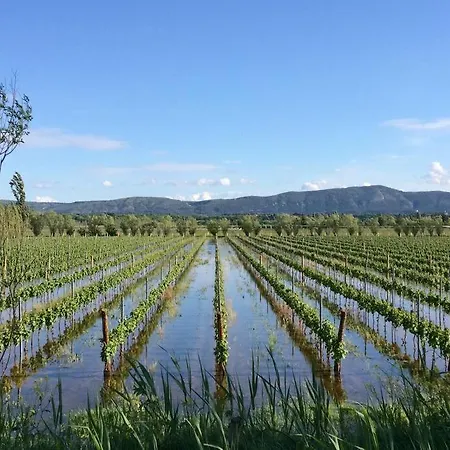 La Maison D'apo, Au Coeur Du Minervois ! * Aigues-Vives (Aude)